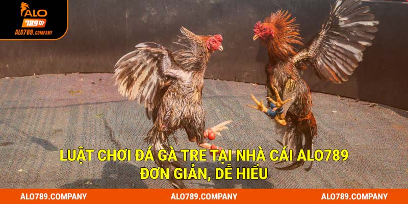 Luật chơi đá gà tre tại nhà cái Alo789 đơn giản, dễ hiểu
